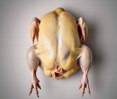 Regular Chicken