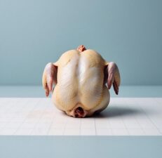 ABF Chicken
