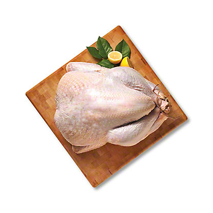 Fresh Hand Slaughter Halal Turkey – Antibiotics Free $4.49/LB
