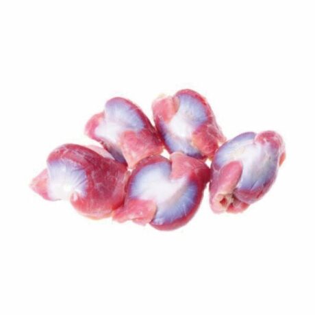 Chicken Gizzard
