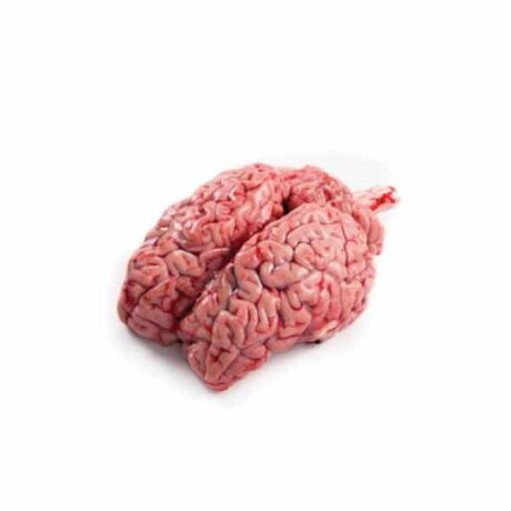 Lamb Brain/LB