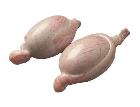 Lamb ‘Fries’ Testicals/LB