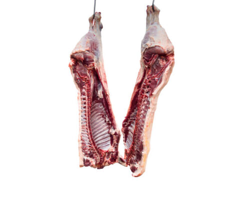 Half Veal $7.49/lb