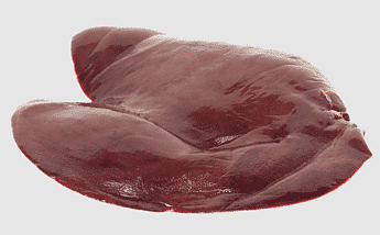 Baby Goat - Liver