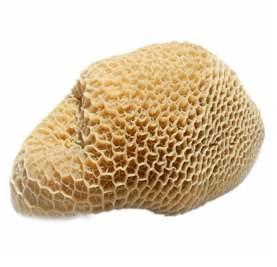 Beef - HoneyComb Tripe