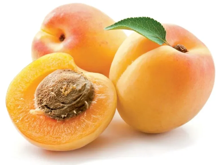 Laetrile-apricot-pits