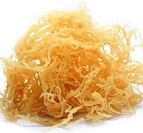 Angel Bread-Irish Moss 5oz